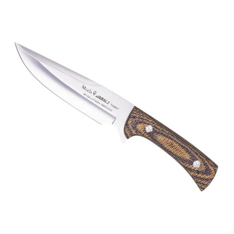 Poignard Muela Jabali Micarta Moutarde/marron 17cm Inox 3 Poignard Muela Jabali Micarta Moutarde/marron 17cm Inox