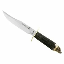 Poignard Muela Wildboar Cerf 16cm Inox En Coffret